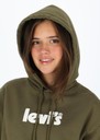 Graphic Standard Hoodie