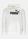 ESS Big Logo Hoodie FL