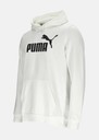 ESS Big Logo Hoodie FL