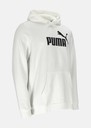 ESS Big Logo Hoodie FL