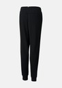 ESS Logo Pants FL cl B