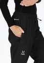 Betula GTX Pant Women