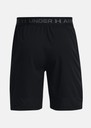 UA Vanish Woven 8in Shorts