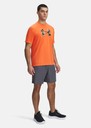 UA Woven Wdmk Shorts