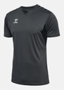 hmlAUTHENTIC PL JERSEY S/S