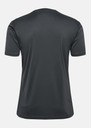 hmlAUTHENTIC PL JERSEY S/S