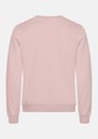 Miami Roundneck