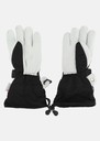 Lofoten Leather Glove W