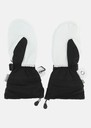 Lofoten Leather Mitten