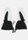 Lofoten Leather Mitten JR