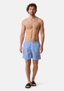 Cannes Swimshorts