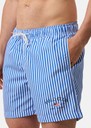 Cannes Swimshorts
