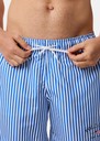 Cannes Swimshorts