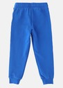 PUMA X HOT WHEELS Sweatpants T