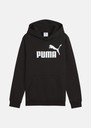 ESS No. 1 Logo Hoodie FL B