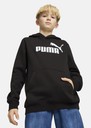 ESS No. 1 Logo Hoodie FL B