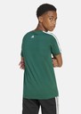 J C COLLEG TEE