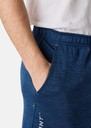 Training Logo Shorts II