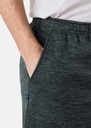 Training Logo Shorts II