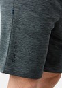 Training Logo Shorts II