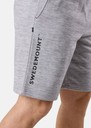 Training Logo Shorts II