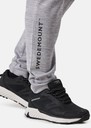 Training Logo Pants II