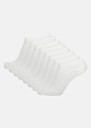 Trainer Ankel Sock 10-pack