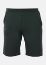 Vertical Logo Shorts