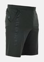 Vertical Logo Shorts