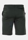 Vertical Logo Shorts
