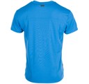 Fjällbacka Tee