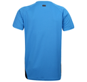Falkenberg Tee
