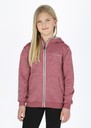 Training Logo Zip Hood JR
