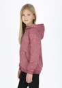Training Logo Zip Hood JR