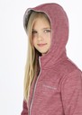 Training Logo Zip Hood JR