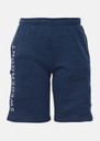 Training Logo Shorts JR