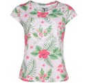 Hibiskus Tee W