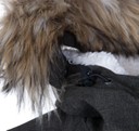 Calgary Parka