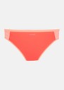 Mesh Bikini Brief