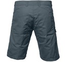 Greenland Shorts M