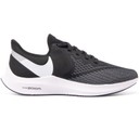 Nike Air Zoom Winflo 6 Men's R
