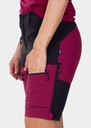 Lofoten Stretch Shorts W