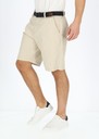 Chino Shorts