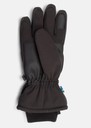 Vemdalen Glove W