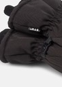 Vemdalen Glove W
