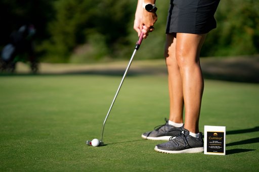 Curminol, 90 capsules