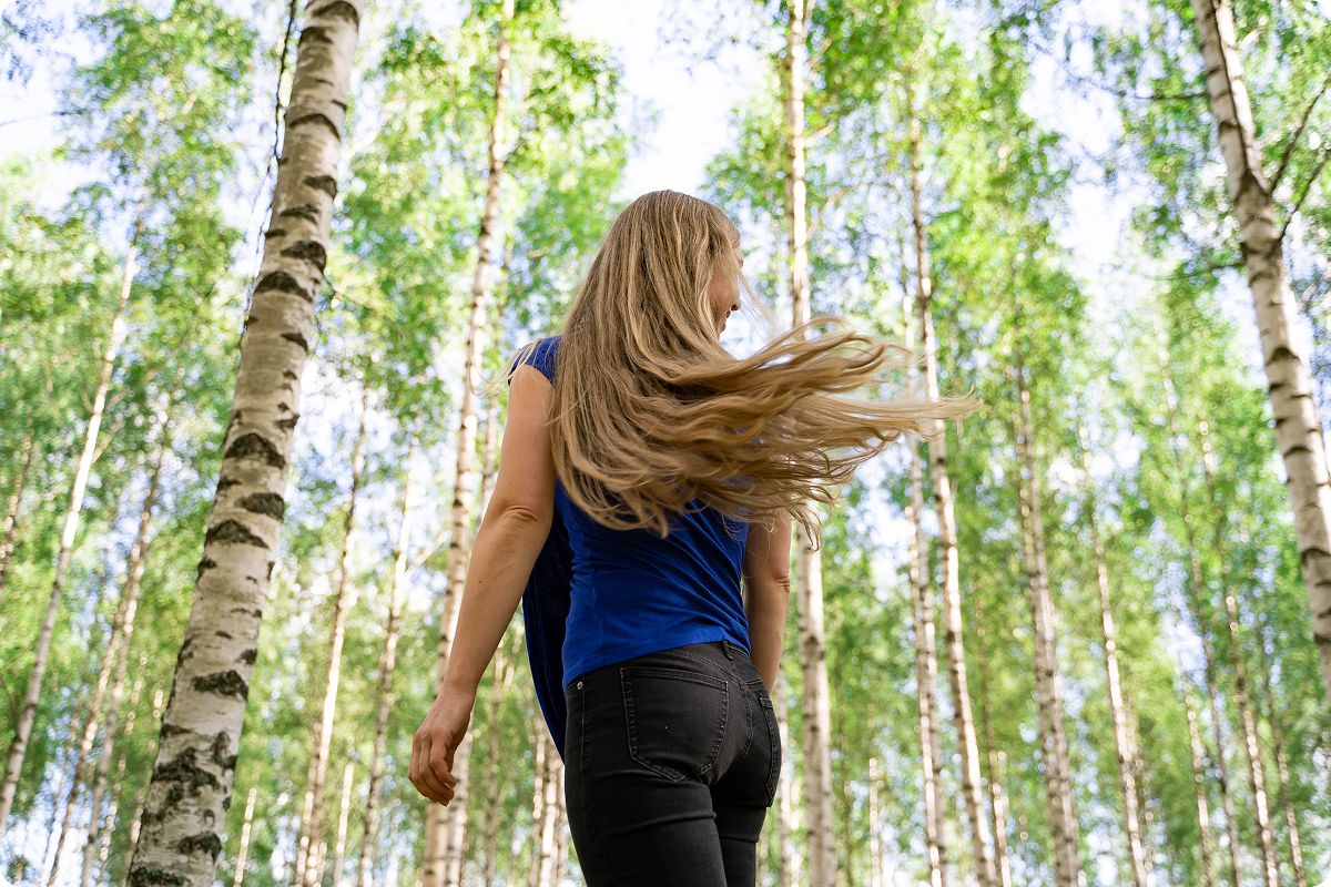 Woman seen from behind walking among tall birch trees