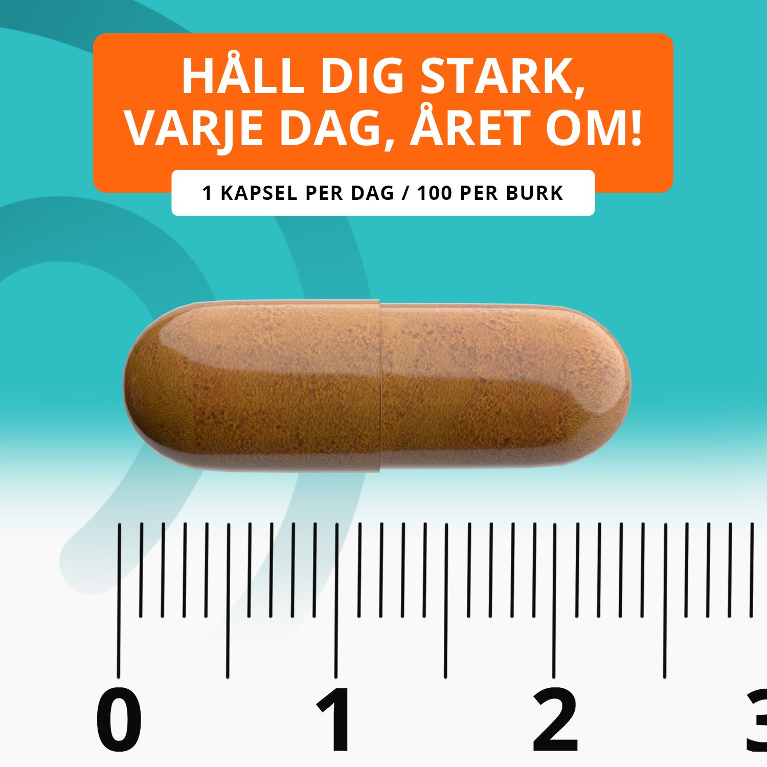 Topformula | Curcumin + Ingefära | 100 kapslar