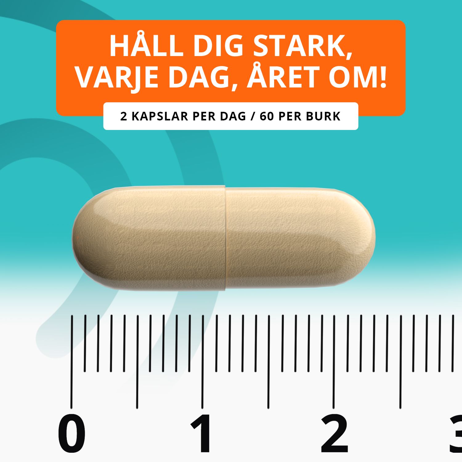Topformula | Dandelion | Maskrosextrakt | 60 kapslar