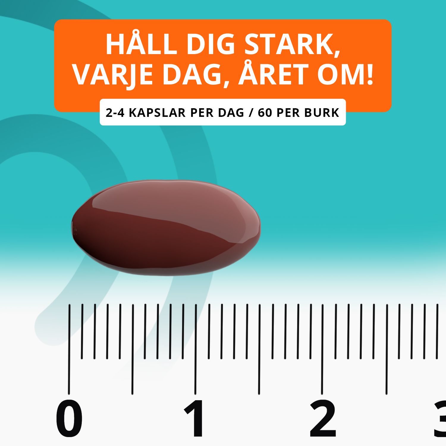 Topformula | Buckthorne Balance | Havtornskapslar | 60 kapslar